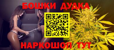 ешки Будённовск