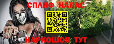 ешки Будённовск