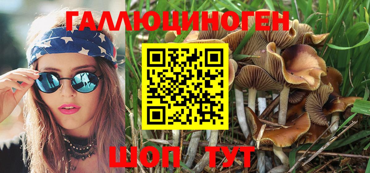 Фролово  Псилоцибиновые грибы Magic Shrooms  Вход с VPN 